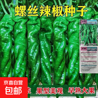 New species of the season, pepper seeds, golden pepper green pepper seeds, four-season courtyard balcony potted pepper seeds, 1 pack of about 100 pieces