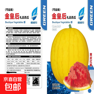 Huangmeiren watermelon seeds, yellow-skinned sweet king, early-maturing watermelon seeds, southern fruits, spring and four seasons vegetable seeds, huangmeiren watermelon seeds, 1 pack of about 20 seeds