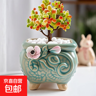 Succulent plant combination indoor small potted plant with ceramic flower pot soil old pile high-end cactus green plant tangerine sugar ball + pinch flower four-sided pot