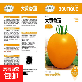 Rhubarb persimmon seeds, yellow tomato seeds, yellow imperial concubine tomato seeds, northeast large fruit spring vegetable seeds, rhubarb tomato seeds/pack, about 200 capsules, 2 packs