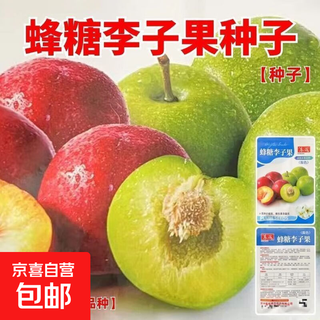 Bee sugar plum fruit seeds, cold-resistant new variety mixed color large plums potted ground planting in the north and south, perennial bee sugar plum fruit seeds, 5 packs, about 25 capsules