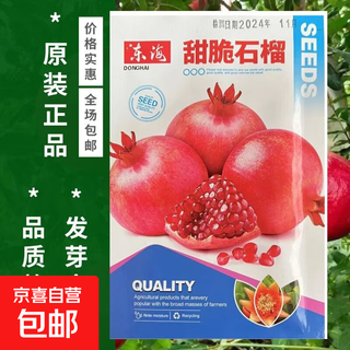 Sweet crisp pomegranate seeds pure sweet pomegranate seedlings for south and north planting cold-resistant balcony garden potted ground planting seeds sweet crisp pomegranate seeds 5 packs of about 251 capsules