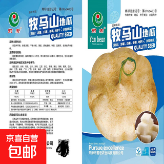 Early-maturing muma mountain sweet potato and cold potato seeds large sweet potato white sweet potato kudzu high-yielding spring and autumn sowing fruit and vegetable seeds muma mountain sweet potato (jingyam seeds/pack about 50 pieces 5 packs