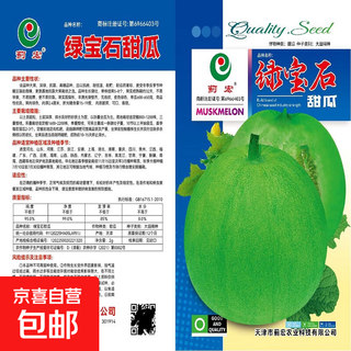 Emerald melon seeds, thin-skinned, super-sweet cantaloupe seeds, spring green-skinned, crispy melons for all seasons, early-maturing, high-yielding cantaloupe seeds, emerald melon seeds/pack, about 100 seeds, 1 pack