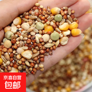 Other horticultural high-quality nutritious pigeon food, meat pigeons, ornamental pigeons, homing pigeons, racing pigeons, yuanbao pigeons, young pigeon feed, breeding pigeons, pigeon food with corn 20 jin jin equals 0.5 kg
