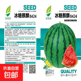 8424 kirin small-seeded watermelon seeds, seedless, extra large, high-yielding, giant sweet king, southern four-season vegetable and fruit seeds. 8424 watermelon seeds/pack, about 50 seeds, 1 pack