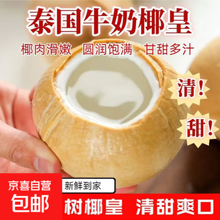 Milk coconut king imported from thailand, smooth and tender fresh coconut fruit - shanye 6 pieces (single fruit 300-400g)