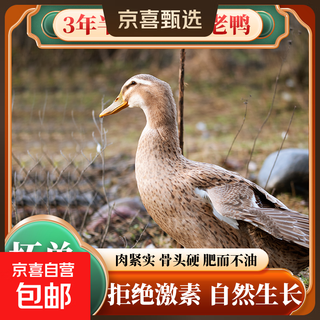 Cordier reservoir free-range farm duck 5.5-6 jin jin equals 0.5 kg / fresh local duck wholesale duck meat ingredients frozen 4-year free-range old duck net weight 5.5-6 jin jin equals 0.5 kg 1