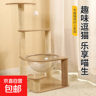 猫爬架大型猫爬架剑麻猫抓板猫咪通天柱猫别墅猫窝太空舱 ZJM-F06太空乐园