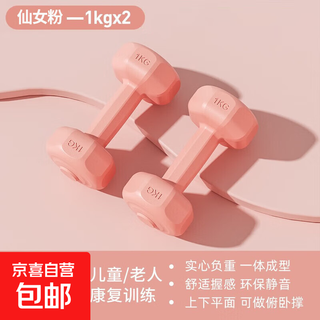 Colorful rubberized dumbbells for home fitness equipment for beginners, small dumbbells for women, one-piece filling, comfortable grip, fairy powder 1kg*2