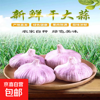 Hot sale authentic purple and white peeled dried garlic farm garlic heads clearance wholesaler cheap new dried garlic in box 2jin jin equals 0.5kg, net weight 1.6jin jin equals 0.5kg and above quality garlic 4-5cm in fruit