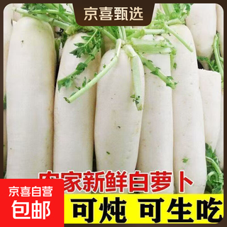 Fresh white radish freshly dug sweet crispy sand fruit radish carrot farm vegetable nutrition healthy nutrition fresh white radish 3jin jin equals 0.5kg with box