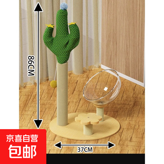 仙人掌猫抓板猫抓柱猫窝一体剑麻猫爪板耐磨不掉屑自嗨解闷猫玩具 仙人掌【太空舱A款】