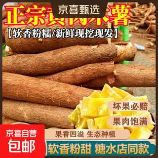 Authentic south china yellow-fleshed cassava, freshly dug, glutinous and sweet, vacuum-packed, straight from the origin, with box 2jin jin is equal to 0.5kg