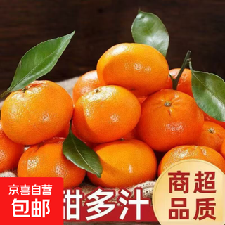 正宗广西砂糖橘爆甜薄皮沙糖桔子当季新鲜甜蜜小橘子 带箱5斤装