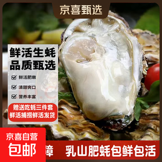 Fresh rushan oysters fresh rushan oysters sea oysters 5 jin jin equals 0.5 kg box/10 jin jin equals 0.5 kg box 6xl oyster king (11-18 pieces per box) with box 10 jin jin equals 0.5 kg