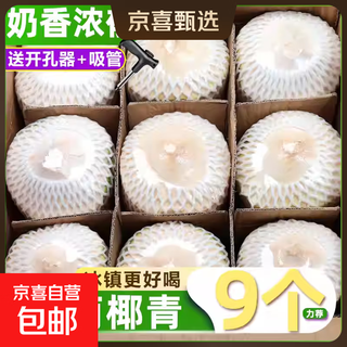 Hainan fresh pure natural peeled coconut green coconut ready-to-eat pregnant women fruit coconut chicken soup coconut meat coconut white-wancheng freshly enjoyed for many days coconut green 6 packs (single fruit starting from 800g)