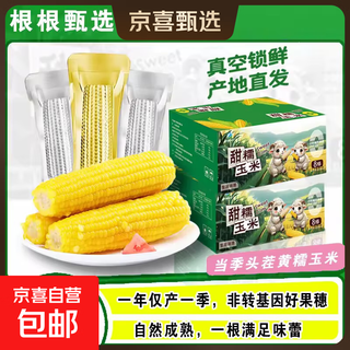 Greedy township yuxin northeast yellow waxy corn on the cob vacuum-packed yellow waxy corn fresh first-crop breakfast meal replacement the average weight of 4 first-crop yellow waxy corn is >180g