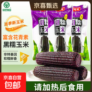 Authentic northeastern black waxy corn vacuum-locked fresh-packed low-fat healthy green food pollution-free breakfast high-quality black waxy corn 10 pieces/box