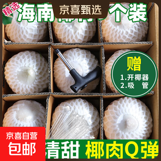 Authentic hainan coconuts, fresh seasonal green coconut fruits, no additives, milky white coconut, ready to be squeezed for juice - wancheng thirst quenching green coconut 2 packs (from 800g per fruit)