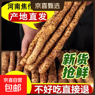 Authentic loin soil iron stick medicine pregnant yam, henan jiaozuo wenxian pink glutinous rice sweet steamed soup rusty red yam authentic loin soil iron stick pregnant yam (5 jin jin is equal to 0.5 kg) 46 cm