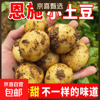 Selenium-rich production area enshi small potatoes, fresh alpine farmhouse mini potatoes, activity enshi small potatoes, two jin jin equal to 0.5 kg, egg size, net weight