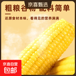 Northeast fresh sweet waxy corn 180g-220g yellow waxy corn vacuum packaging soft waxy sweet meal replacement 180g-220g yellow waxy corn-4 pack