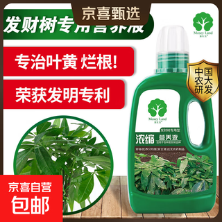 Special fertilizer for money tree, special fertilizer for money tree, nutrient solution for money tree, indoor special fertilizer to improve the yellow leaves and falling leaves of money tree, special nutrient solution for money tree