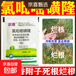 Closulfuron herbicide, cyperus rotundus, annual broadleaf weeds, cyperaceae weeds, weed killer and root rot agent, 1 pack, mixed with 1 bucket of water, 30jin, jin is equal to 0.5kg