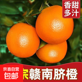 正宗赣南脐橙新鲜现摘香甜多汁当季时令水果甜橙子 （中果）净重9斤（70-80mm）
