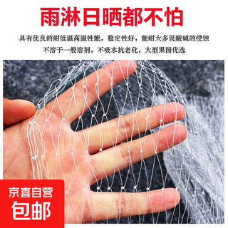Bird-proof net for cherry grapes, millet, vegetable greenhouses, orchard protection, special bird-repellent net, fish pond breeding sky net, 3 meters wide, high-quality new fishing line material, 10 meters long, 2.5 mesh/net length is 1.4 times actual