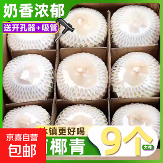 Hainan fresh pure natural peeled coconut green coconut ready-to-eat pregnant women fruit coconut chicken soup coconut meat coconut white - wancheng cost-effective green coconut 2 pack (single fruit starting from 800g)