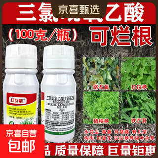 Triclopyroxyacetic acid high-concentration herbicide shrub malignant weed water peanut vine broad-leaf root rot herbicide 2 bottles 100g/bottle