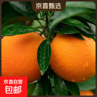 Jiangxi xunwu fresh gannan early navel oranges ready to pick oranges with box 4jin jin equal to 0.5kg 65-70mm