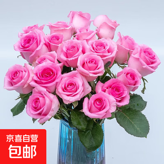 Roses special price yunnan flowers direct delivery festival flower gift bouquet water-raised flower arrangement chinese valentine's day gift wake-up rose 10 branches