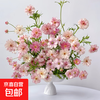 Butterfly peony pearlescent flowers yunnan flowers straight hair home flower arrangement valentine's day gift new year decoration pink butterfly peony 1 bunch