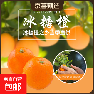 Hunan zhijiang mayang bingtang orange fresh fruit for pregnant women sweet and juicy bingtang orange origin straight hair 60-65mm mayang bingtang orange orange with box 8jin jin equals 0.5kg packed in 60-65mm box