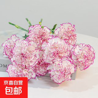 Exclusive for live broadcast, 20 random single-headed carnations, valentine’s day gift, new year’s decoration flowers, 1 set