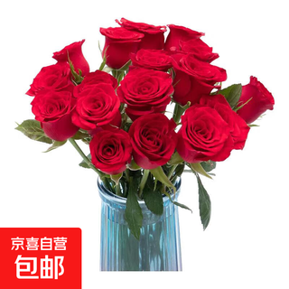 Roses special price yunnan flowers chinese valentine's day gift fresh-cut bouquet water-raised flower arrangement mix and match gift 1 plateau red rose 10 stems