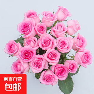 Roses yunnan flowers wholesale real flowers for household bottles and water for growing festival birthday gifts fresh-cut bouquets wake-up roses 18+2 branches loss-proof