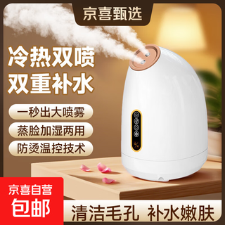 Relieve dryness, facial steamer, hot and cold dual-spray face steamer, household moisturizing nano-spray facial mask hydration device, fully upgraded, daily good things for women and men in autumn and winter, pure white z16
