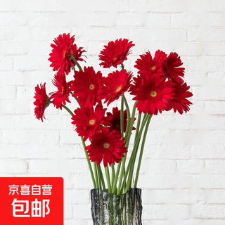 Francaise gerbera sunflower fairy pink flower head fresh cut flower home water maintenance home vase decoration flowers gerbera - red series 10 branches