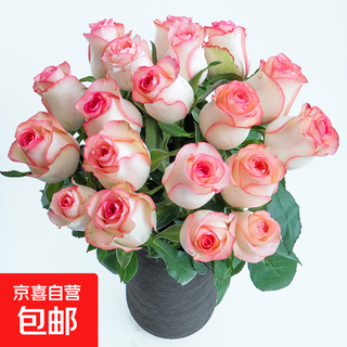 Roses yunnan flowers wholesale real flowers for household bottles and water for growing festival birthday gifts fresh-cut bouquets aisha rose 18+2 branches loss-proof