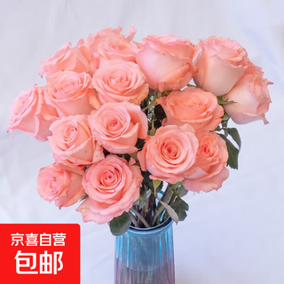Roses yunnan flowers wholesale real flowers for household bottles and water for growing festival birthday gifts fresh-cut bouquets diana rose 18+2 loss prevention