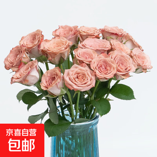 Rose yunnan flowers wholesale real flowers household flowers vase water cultivation holiday gift rose flowers cappuccino rose 18+2 stems loss prevention