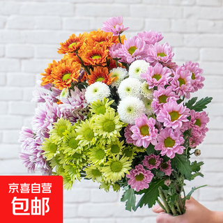 Exclusive for live broadcast, 5 small mixed color daisies (length 50-60cm) 1 serving