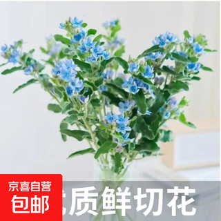 Flower bouquet of 10 stems with essential grass flowers of your choice, yunnan flowers, water-grown fresh cut flowers, mixed flower arrangement bouquet, blue star flower