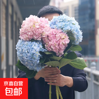 Floyd sunflower champagne rose mixed base straight hair water-raised flower arrangement fresh cut flowers jd express 1 random hydrangea