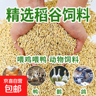 Shelled rice, millet, fresh rice, grains, rice, chickens, ducks, geese, pigeons, hamsters, pet feed, farm-grown rice, 5 jin jin is equal to 0.5 kilograms