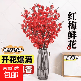 Rote pflaumen-hydrokulturpflanze, trockene zweige, schneeweide, wasserkultivierte frische blumen, pflaumenblüte, frische zweige, perlenpflaume, grüne pflanze für den innenbereich, wohnzimmer, topfpflanze mit roten knospen, 40–80 cm, 20 tage zum aufplatzen der blüten, empfohlen im herbst und winter. 8 zweige werden am selben tag frisch geschnitten und blühen mehr